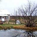Photo - Pond