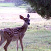 Thumbnail photo