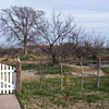 Thumbnail photo